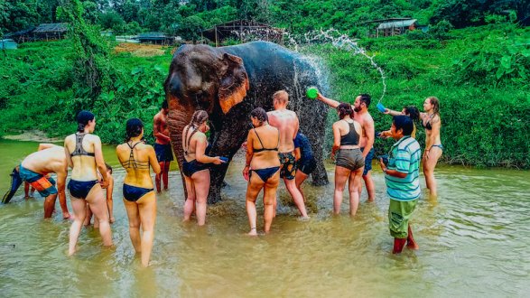 A photo of an elephant being bathed in Chiang Mai Thailand