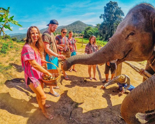 Feeding bananas to the elephants at the sanctuary in Chiang Mai Thailand 